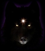 Blackwolf