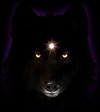 Blackwolf